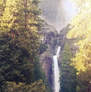 Meet your Posher, Isabella